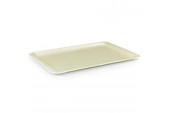 Polyester Tepsi - 37x53 cm